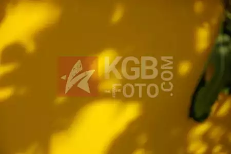 19-10-2025  (11h-12h)