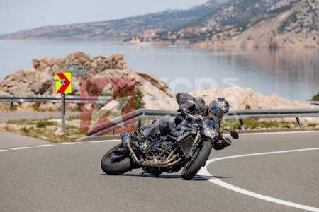 _6130466-5BorPv