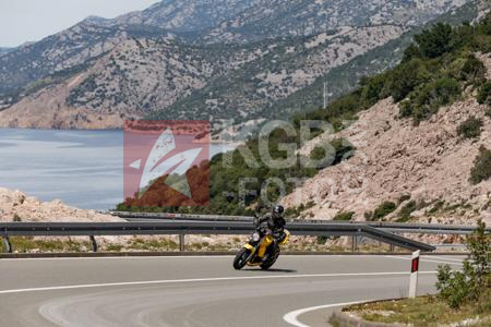 _6131351-ASV2U1