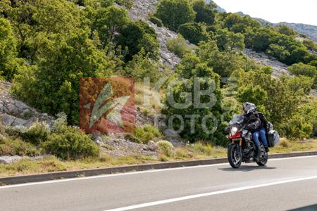 _6142940-bZiDZU