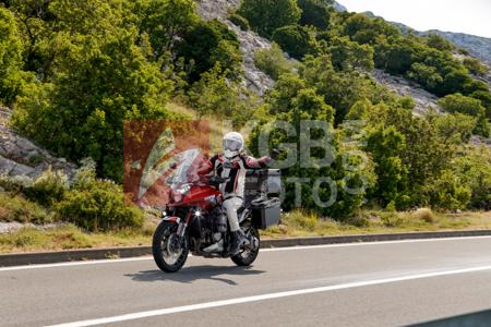 _6142945-R18mIS