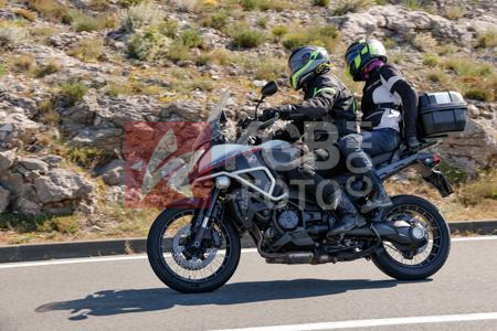 _6219616