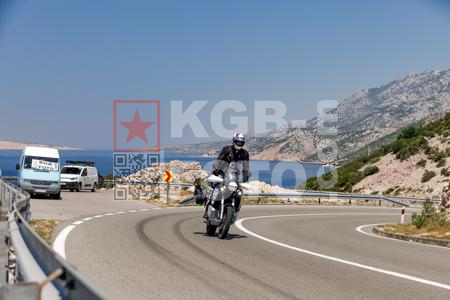 _6273833