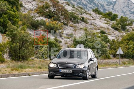 _7125497