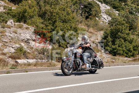 _7196001-zuKX5M