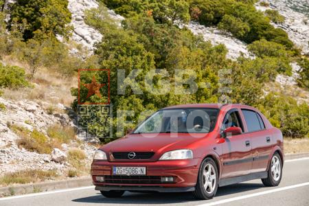 _8029135