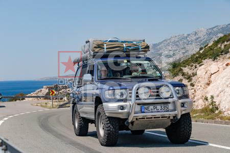 _8029231