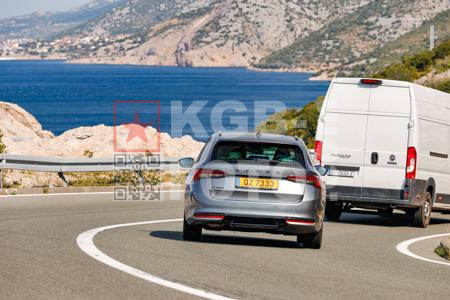 _8080031