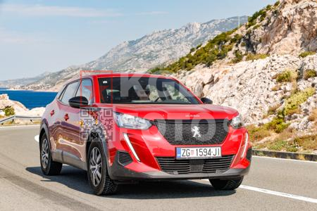 _8080550-kvGggt