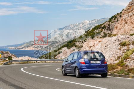_8081801