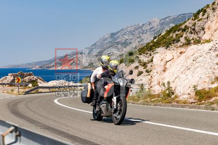 _8082744