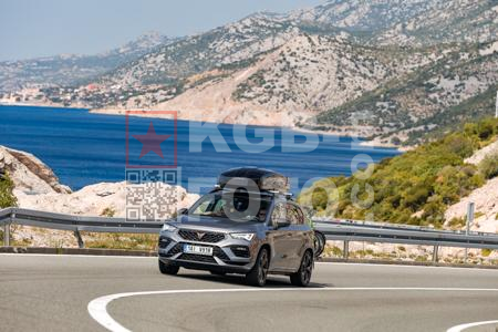 _8082320-pYnH1M