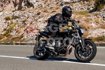 _8094056