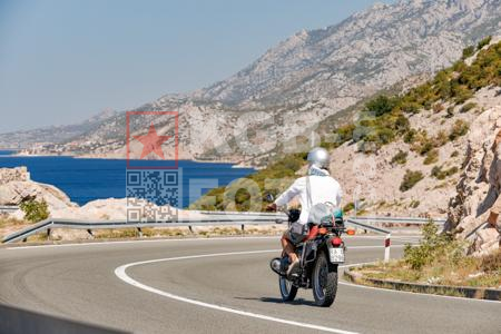 _8156871