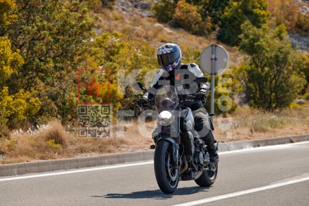 _8169691-T1zLiX