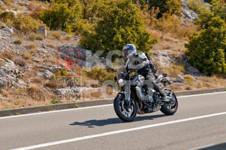 _8169692-ISh727