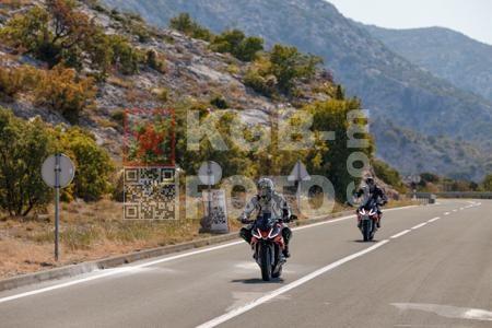 _8169697-Ql7m4k