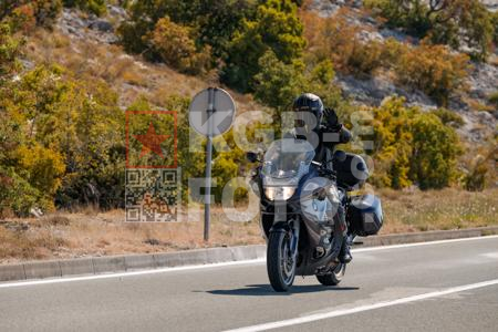 _8169998-nZ34GF