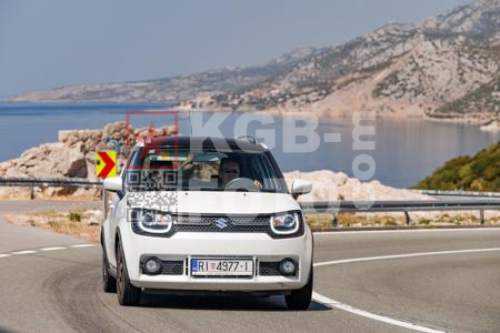 _8161012-dHVr4m