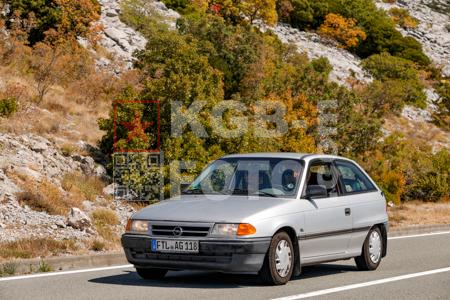 _8225385-Cs1Z4M