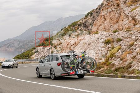 _8298739