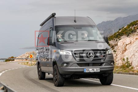 _8290061
