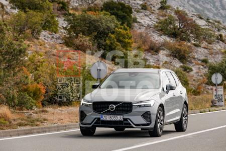 _8290208