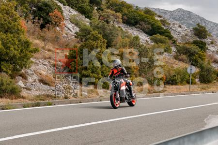 _8290230