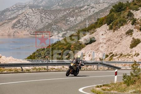 _8290950