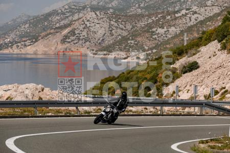 _8291556-cOta8L