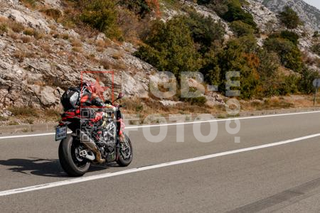 _8291619-ts90PF