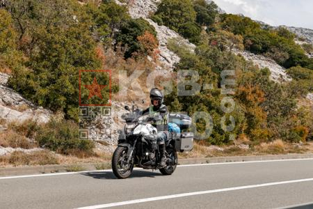 _8291717