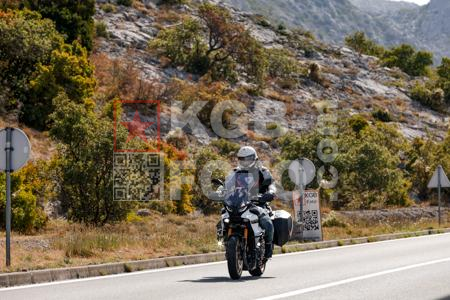 _8302739-2