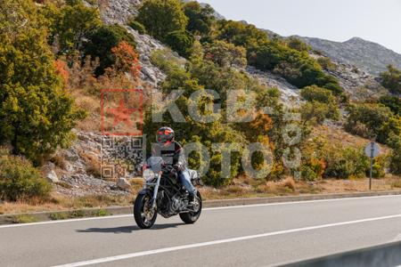 _8302865