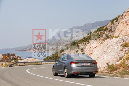 _8305016-xmChH3