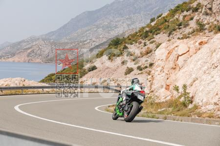 _8305071-2-PGVsGr