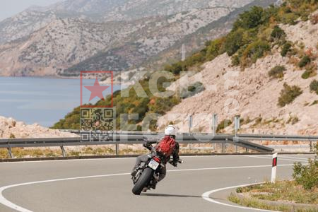 _8305091-2-IbB6sC