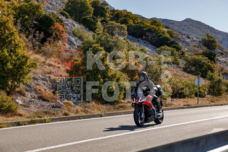 _9055872-2-gr4aus
