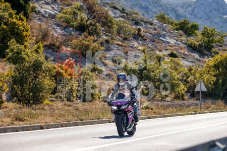 _9055880-2-FKlHE9