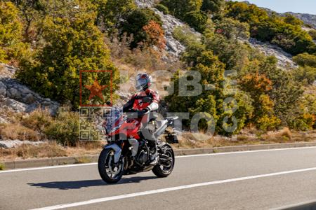 _9056786-2-7P6k2S