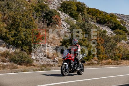 _9058518-2-zXZ3Gk