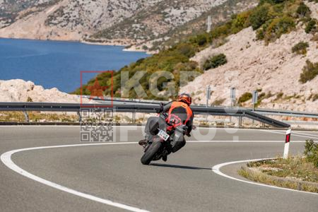 _9058746-2-EfW1HN