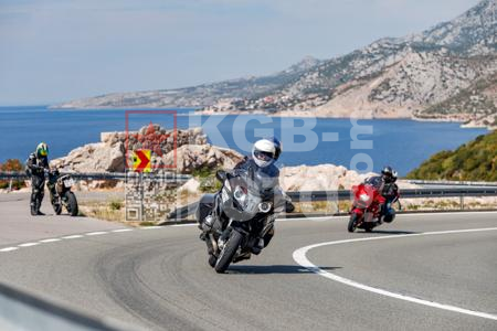 _9058793-2-glSPT2