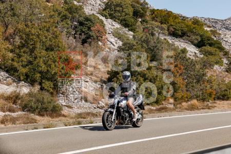 _9059318-2-lqggCW