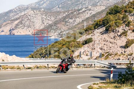 _9069988