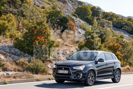 _9060455