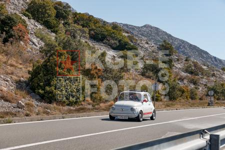 _9061715