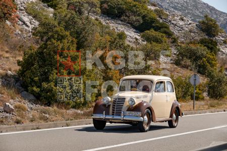 _9061719-4Vl1zy