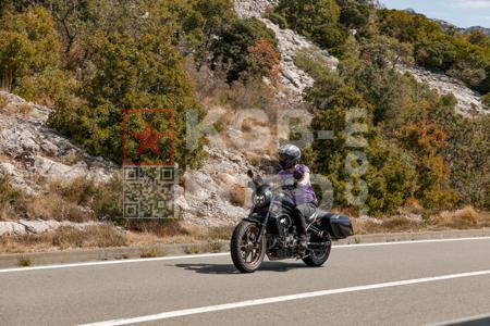 _9062364-mJjgW7