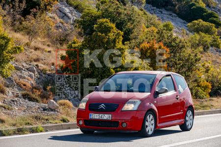 _9133495